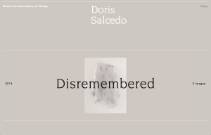 1_salcedo_homepage_scroll_1