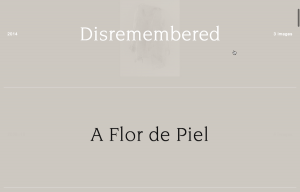 2_salcedo_homepage_scroll_2