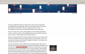 4_salcedo_essay