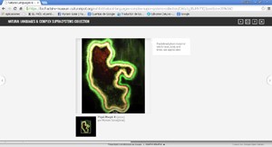 Physi-Morph IV