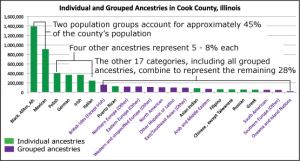Figure 5. In the initial visualization design, displayed at the Hull House Museum, we needed to pare down the census's ancestry and race categories by grouping some smaller ancestries by region (from Roberts, Lyons, Radinsky, & Cafaro, 2012).
