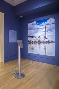 #NeoImpressed installation at the Phillips Collection